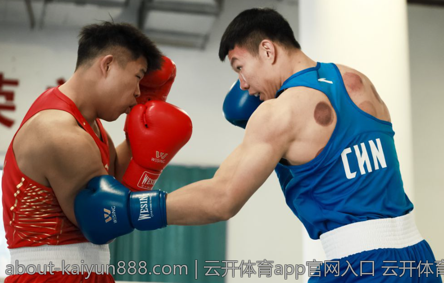 云开体育app官网入口 云开体育官方入口网址导航